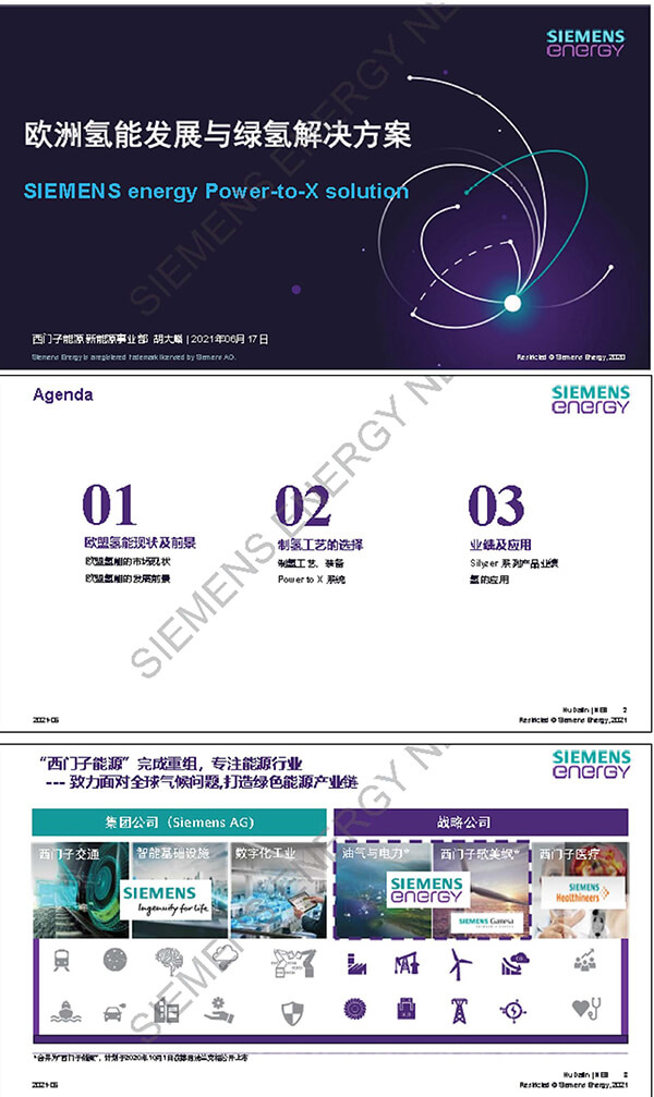 西門子胡大麟:歐洲氫能發(fā)展與綠氫解決方案 西門子胡大麟:歐洲氫能發(fā)展與綠氫解決方案