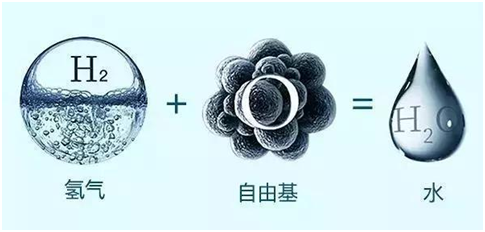 富氫水的功效與誤區