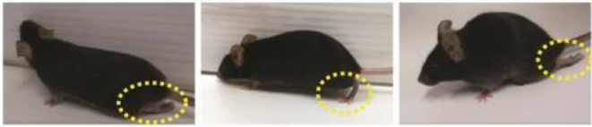 氫氣吸入和氫鹽水注射效果哪個強 氫氣醫學研究的重點在疾病治療效果確定性 氫氣吸入和氫鹽水注射效果哪個強 氫氣醫學研究的重點在疾病治療效果確定性