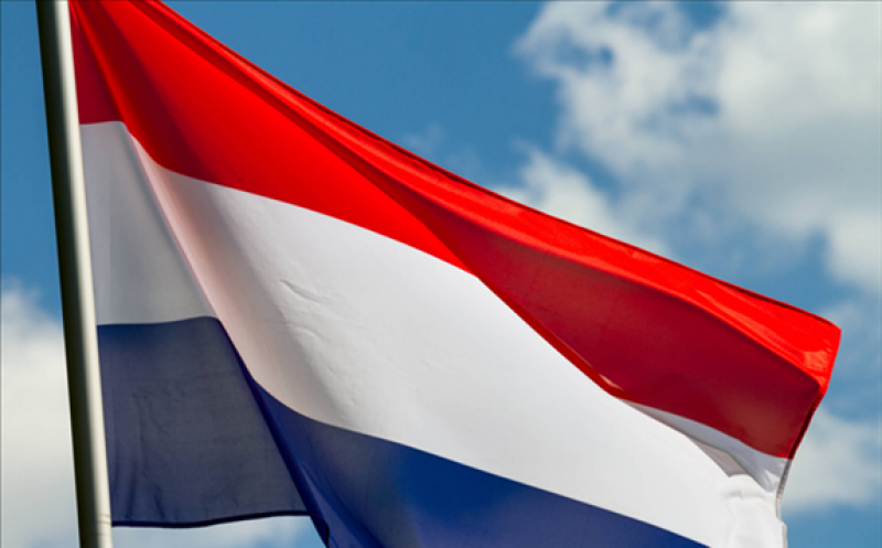 荷蘭75MW綠色氫項目獲得批準發展