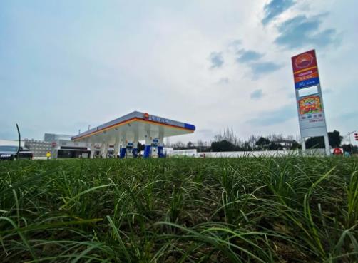 中石油在四川首座加氫站建成.jpg 中石油在四川首座加氫站建成.jpg