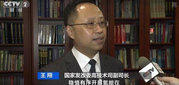 國家發改委高技術司副司長 王翔.jpg